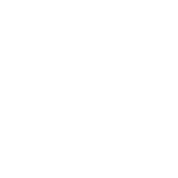 魅せる 資料